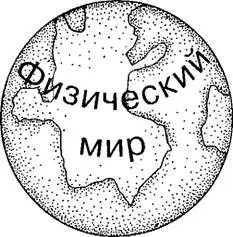Обложка аудиокниги «Большое, малое и человеческий разум»