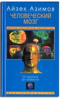 Обложка аудиокниги «Человеческий мозг»