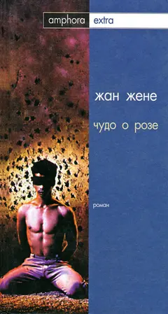 Обложка аудиокниги «Чудо о розе»