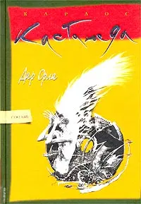 Обложка аудиокниги «Дар орла»