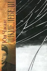 Обложка аудиокниги «Дикие лебеди»