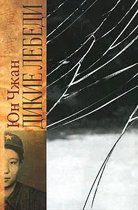 Обложка аудиокниги «Дикие лебеди»