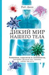 Обложка аудиокниги «Дикий мир нашего тела. Хищники, паразиты и симбионты, которые сделали нас такими, какие мы есть»