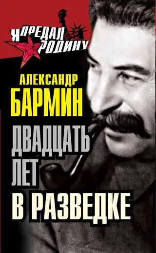 Обложка аудиокниги «Двадцать лет в разведке»
