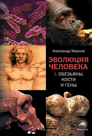 Обложка аудиокниги «Эволюция человека. Книга 1. Обезьяны, кости и гены»