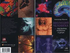 Обложка аудиокниги «Эволюция человека. Книга 2. Обезьяны, нейроны и душа»