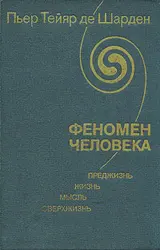 Обложка аудиокниги «Феномен человека»