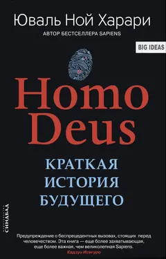 Обложка аудиокниги «Homo Deus. Краткая история будущего»