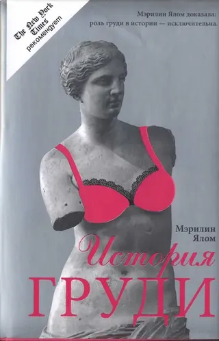 Обложка аудиокниги «История груди»