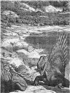 Обложка аудиокниги «История земли и жизни на ней»
