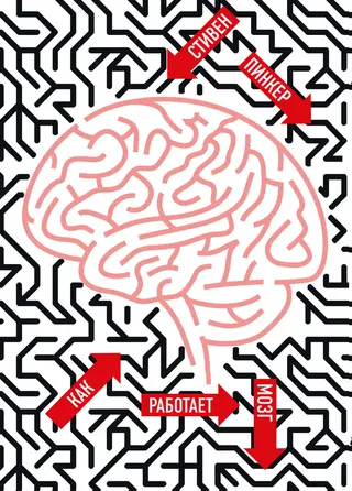 Обложка аудиокниги «Как работает мозг»