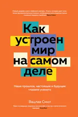 Обложка аудиокниги «Как устроен мир на самом деле. Наше прошлое, настоящее и будущее глазами ученого»