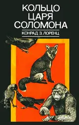 Обложка аудиокниги «Кольцо царя Соломона»