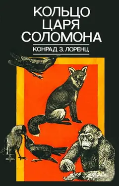 Обложка аудиокниги «Кольцо царя Соломона»