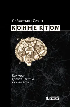 Обложка аудиокниги «Коннектом. Как мозг делает нас тем, что мы есть»