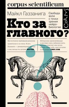 Обложка аудиокниги «Кто за главного? Свобода воли с точки зрения нейробиологии»