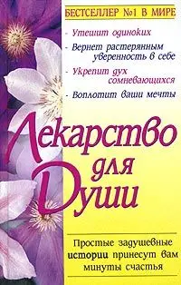 Обложка аудиокниги «Куриный бульон для души»