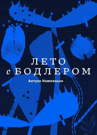 Обложка аудиокниги «Лето с Бодлером»