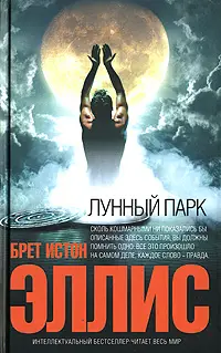 Обложка аудиокниги «Лунный парк»