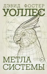 Обложка аудиокниги «Метла системы»