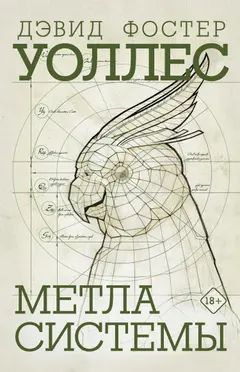 Обложка аудиокниги «Метла системы»