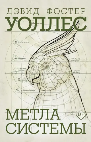 Обложка аудиокниги «Метла системы»