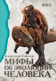 Обложка аудиокниги «Мифы об эволюции человека»