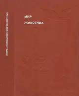 Обложка аудиокниги «Мир животных. Том 4»