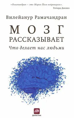 Обложка аудиокниги «Мозг рассказывает. Что делает нас людьми»