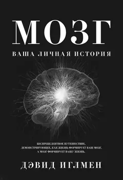Обложка аудиокниги «Мозг: Ваша личная история. Беспрецендентное путешествие, демонстрирующее, как жизнь формирует ваш мозг, а мозг формирует вашу жизнь»
