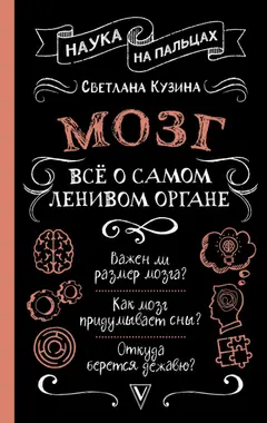Обложка аудиокниги «Мозг. Всё о самом ленивом органе»