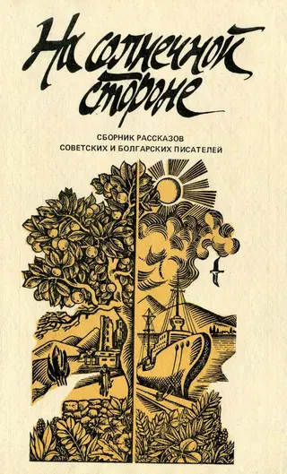 Обложка аудиокниги «На солнечной стороне»