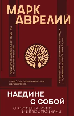 Обложка аудиокниги «Наедине с собой (с комментариями и иллюстрациями)»