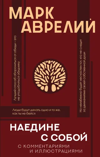 Обложка аудиокниги «Наедине с собой (с комментариями и иллюстрациями)»