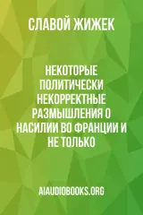 Обложка аудиокниги «Некоторые политически некорректные размышления о насилии во Франции и не только»