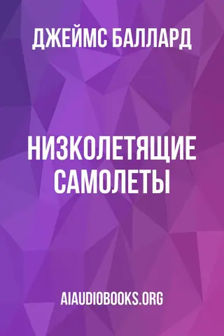 Обложка аудиокниги «Низколетящие самолеты»