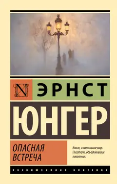 Обложка аудиокниги «Опасная встреча»