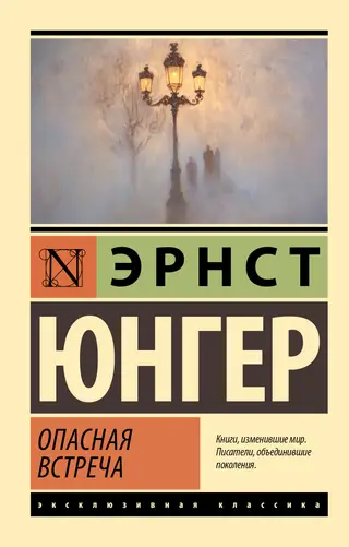 Обложка аудиокниги «Опасная встреча»