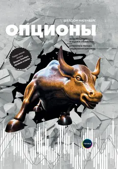 Обложка аудиокниги «Опционы»
