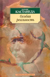 Обложка аудиокниги «Особая реальность»