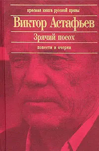 Обложка аудиокниги «Паруня»