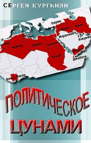 Обложка аудиокниги «Политическое цунами»