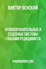 Обложка аудиокниги «Правоохранительные и судебные системы глазами рецидивиста»