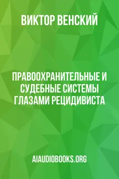 Обложка аудиокниги «Правоохранительные и судебные системы глазами рецидивиста»