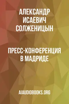Обложка аудиокниги «Пресс-конференция в Мадриде»