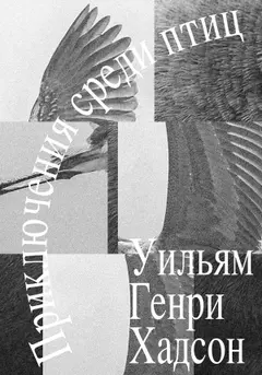 Обложка аудиокниги «Приключения среди птиц»