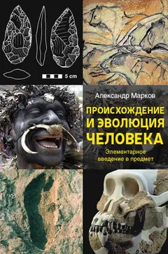 Обложка аудиокниги «Происхождение и эволюция человека»