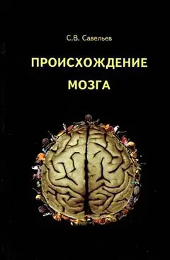 Обложка аудиокниги «Происхождение мозга»