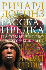 Обложка аудиокниги «Рассказ предка»