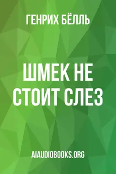 Обложка аудиокниги «Шмек не стоит слез»